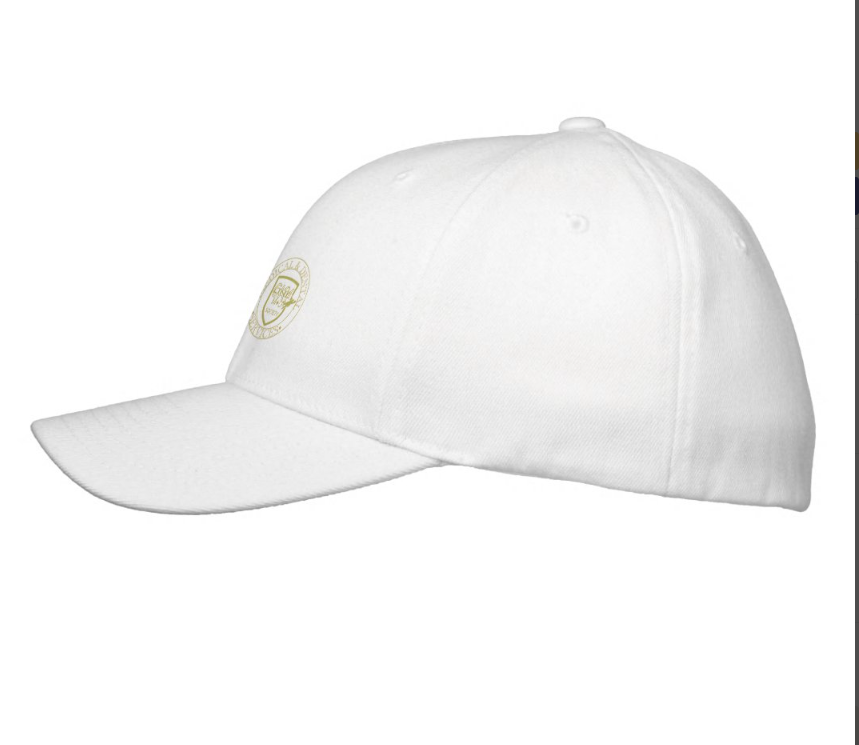 Basic Flexfit Wool Cap